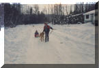 Bailey pulling the sleigh in front of our house, Andrew leading