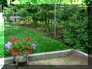 Fruit Tree Lane, Apples, Hazelnut trees, and Day lilies from River Bend Nursery in Estevan 